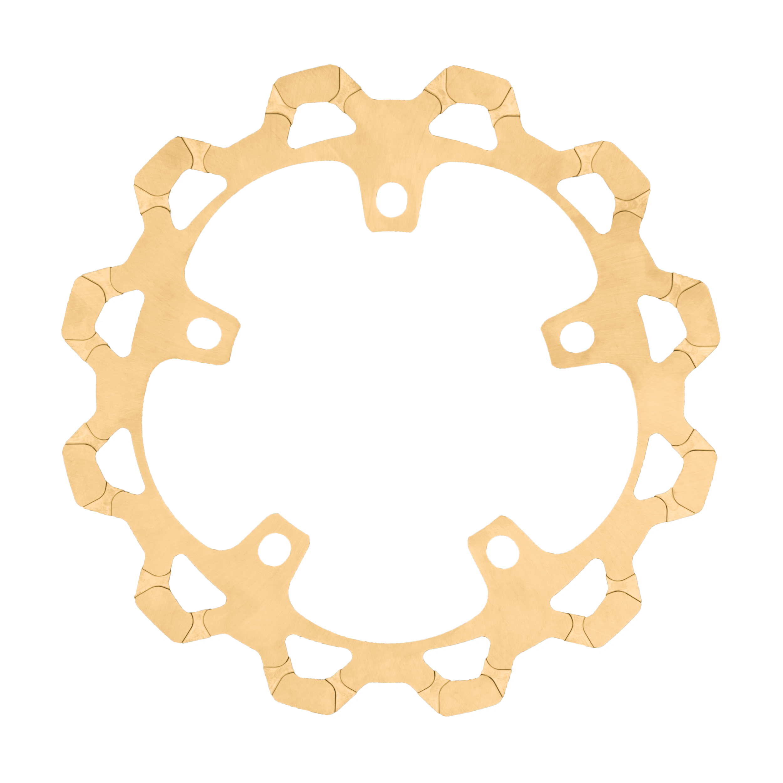 Disque de frein avant monobloc Lyndall Brakes Pan America 13"