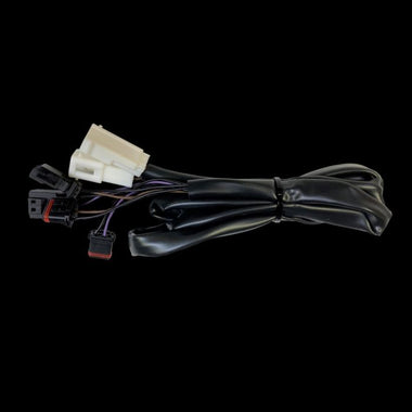 Custom Dynamics Integrated Taillight Harness for Low Rider & Low Rider S
