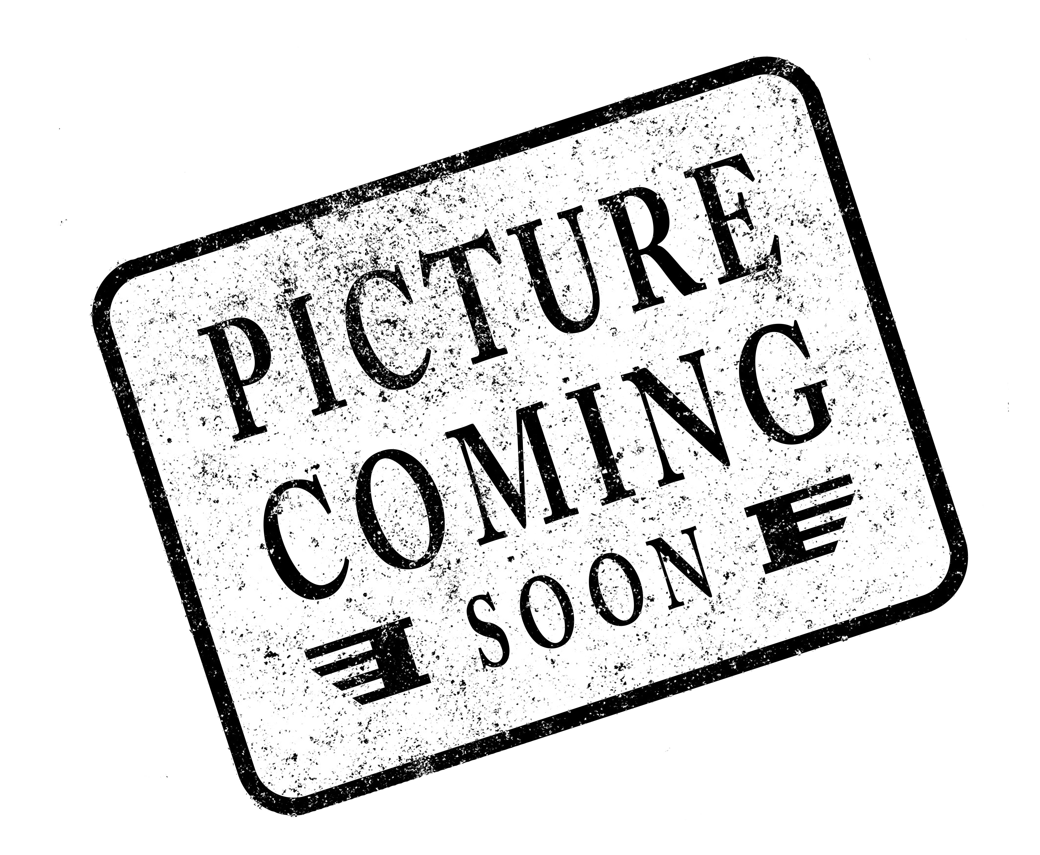 OG Indian Bagger HoneyComp V3 Floorboards